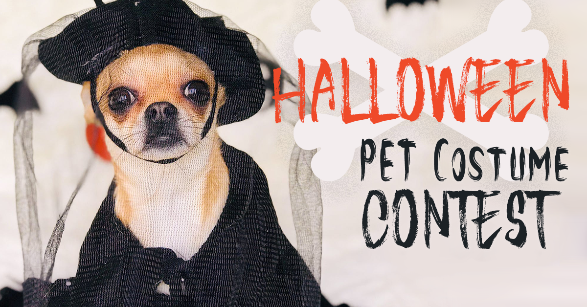 Halloween Pumpkin Carving Contest Idea 3